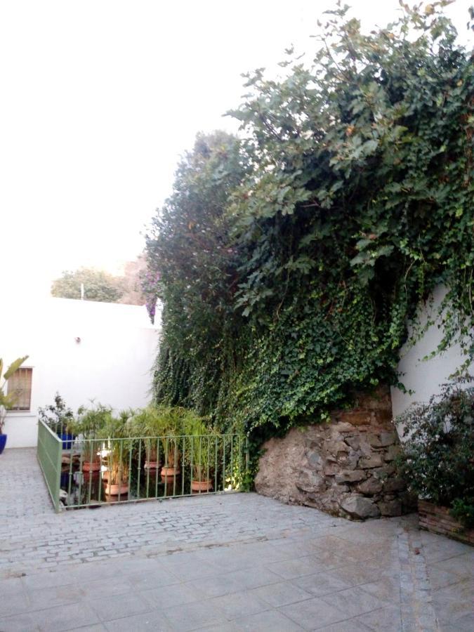 Gravina Comfort Tarifa Exteriör bild