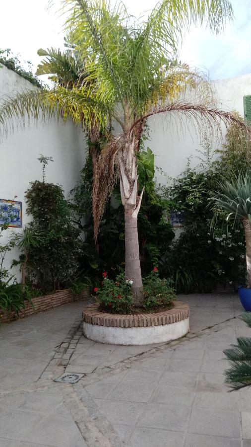 Gravina Comfort Tarifa Exteriör bild